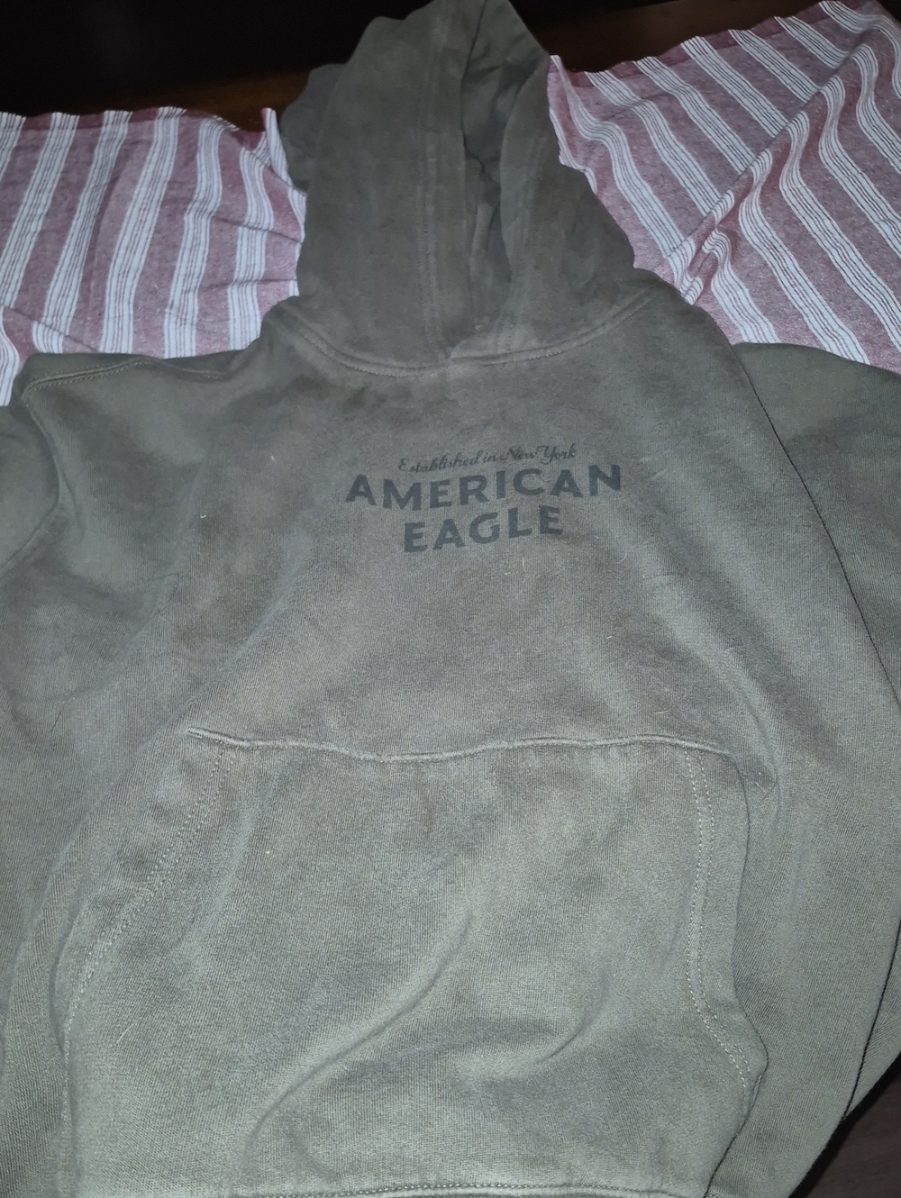 American Eagle Outfitters Olive Green Pullover Hoodie